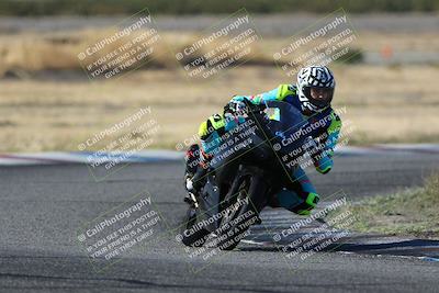 media/Oct-29-2023-Carters at The Track (Sun) [[b2bb4383ab]]/B Plus/1020am (Sunrise)/